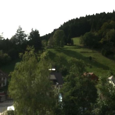 Fewo Mit Pool Haus Enere Au Todtmoos Exterior photo