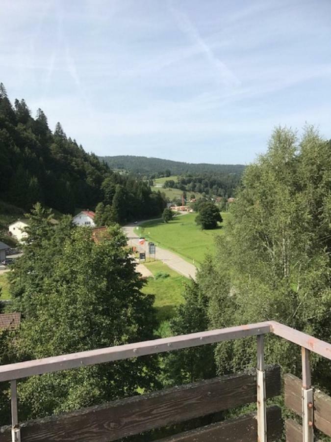 Fewo Mit Pool Haus Enere Au Todtmoos Exterior photo