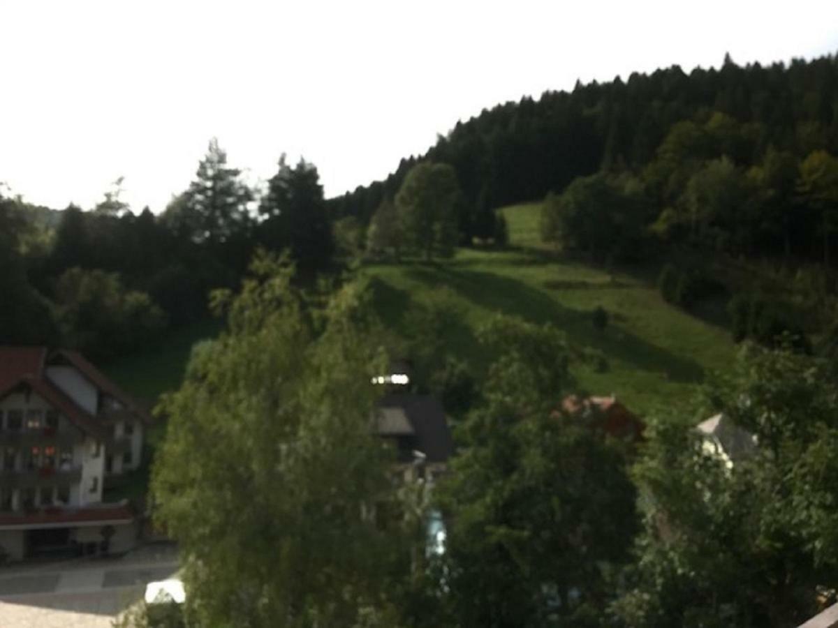 Fewo Mit Pool Haus Enere Au Todtmoos Exterior photo