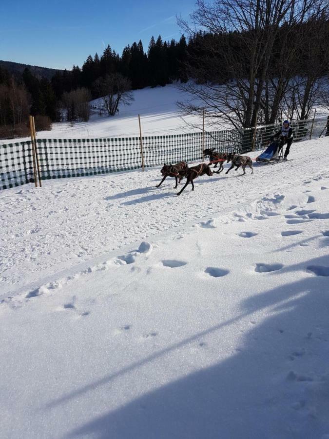Fewo Mit Pool Haus Enere Au Todtmoos Exterior photo